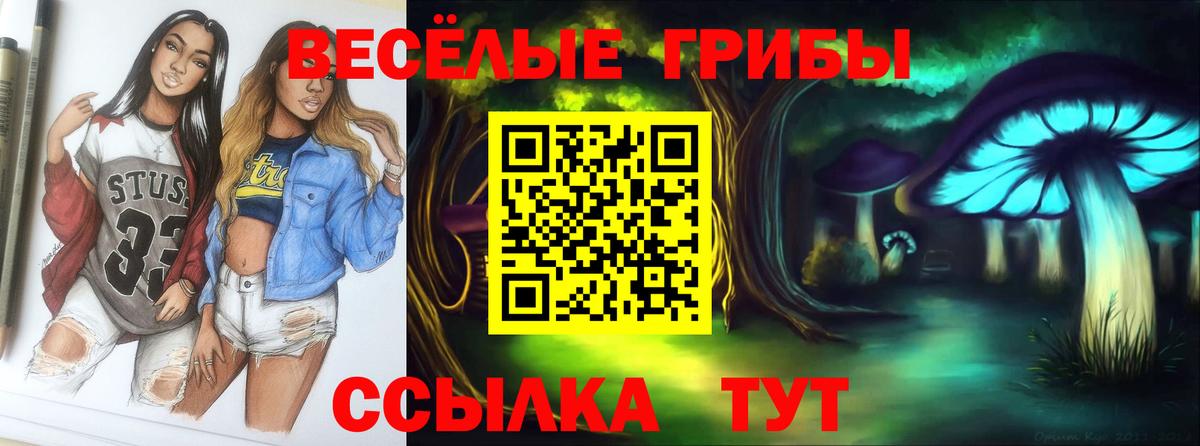 Галлюциногенные грибы мицелий  хочу наркоту  Саранск  Вход с VPN 